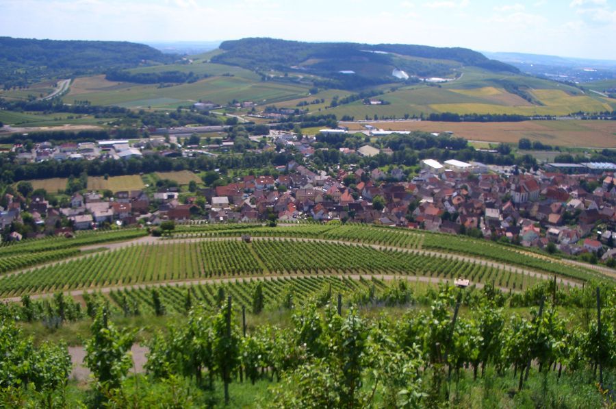 erlenbacher-kayberg