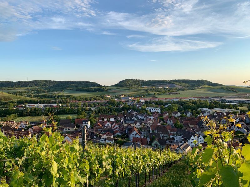 Blick über Erlenbach